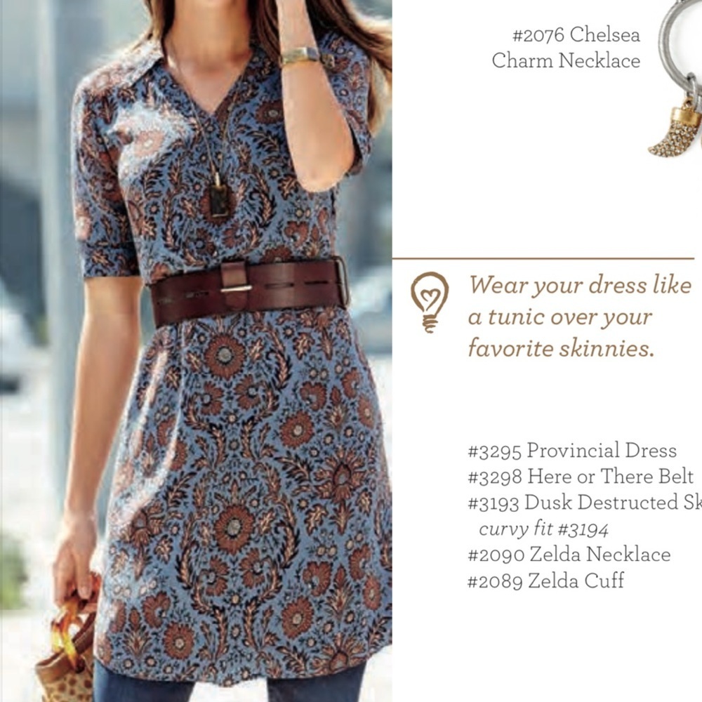 Cabi Kyoto Blossom Provincial Shift Dress